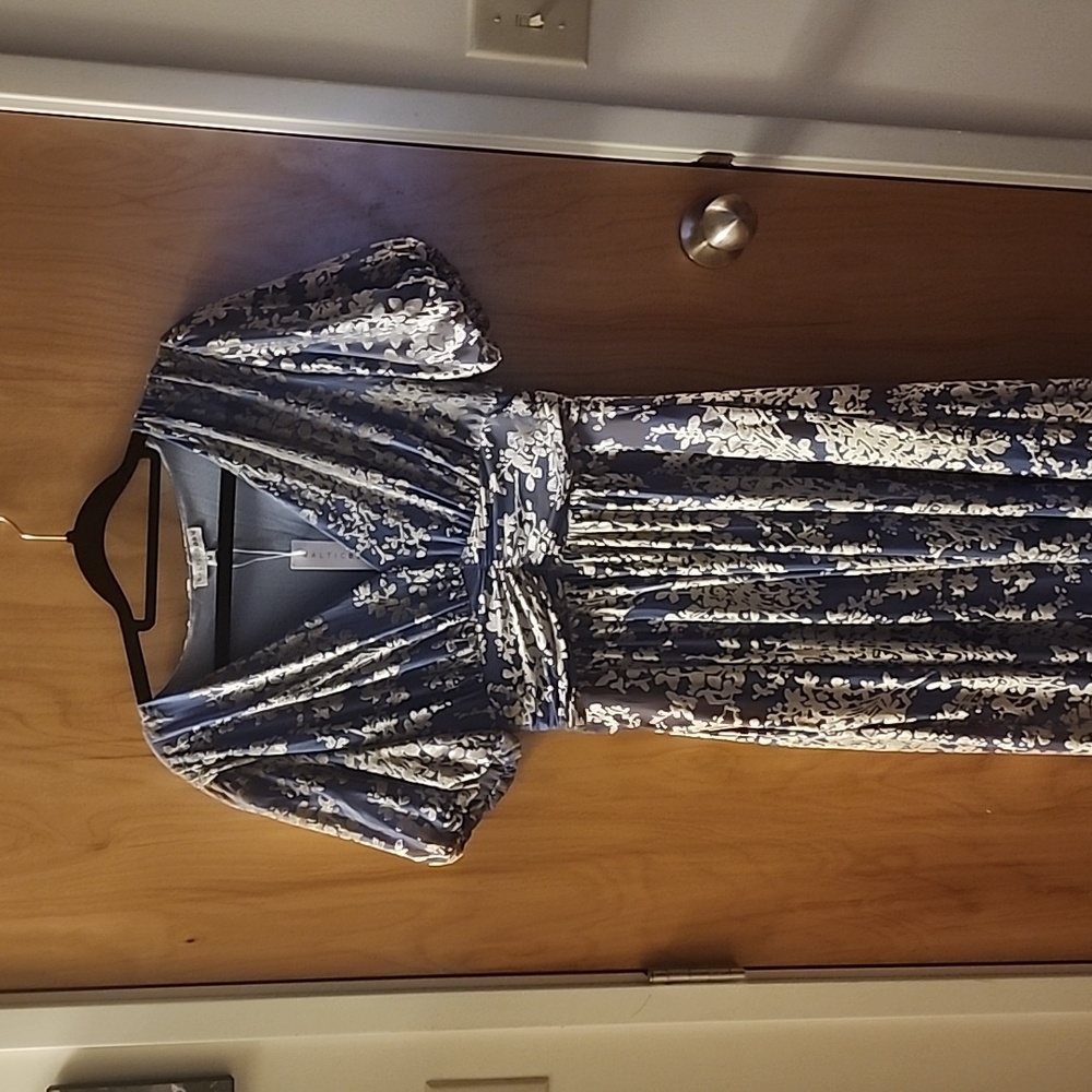 Baltic Born Leslie Velvet Dress, Medium, NWT